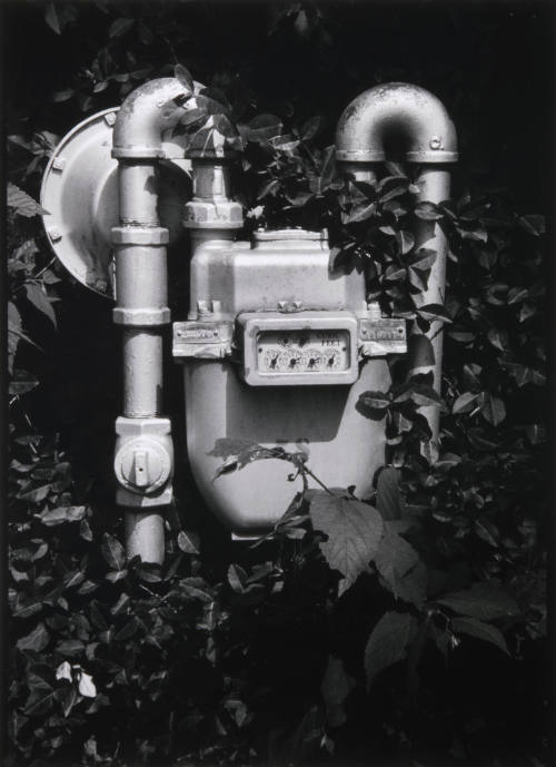 Gas Meter