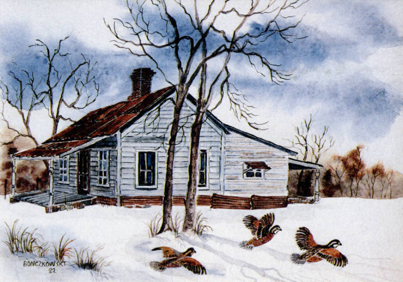 Mary Bonczkowski, The Old Home Place, 1982, photomechanical reproduction, 4 x 5 13/16 in., Kans…