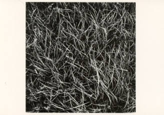 Terry Evans, Prairie, 1978, photomechanical reproduction, 4 x 5 13/16 in., Kansas State Univers…