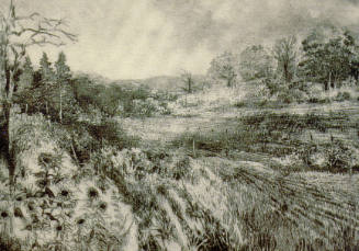 Flinthills Landscape