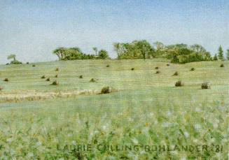 Laurie Culling, Hay Bales, 1981, photomechanical reproduction, 4 x 5 13/16 in., Kansas State Un…