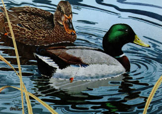 Daryl L. Miller, Ponds edge- Mallards, 1985, photomechanical reproduction, 4 x 5 13/16 in., Kan…