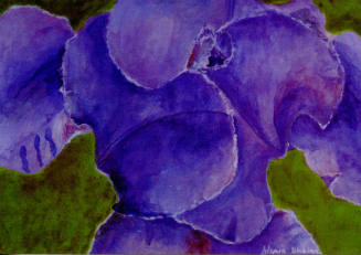 Gloria Jean Webber, Lavender Iris, photomechanical reproduction, 4 x 5 13/16 in., Kansas State …