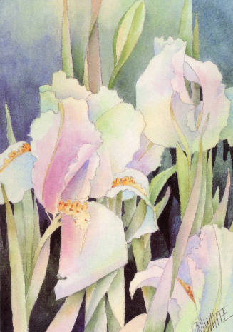 Gloria Jean Webber, Lavender Iris, photomechanical reproduction, 5 13/16 x 4 in., Kansas State …