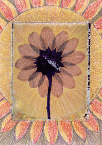 John A. Wysocki, Sun Flower, 1997, photomechanical reproduction, 5 13/16 x 4 in., Kansas State …