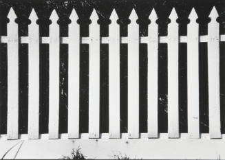 Picket Fence #1 (white picket fence)