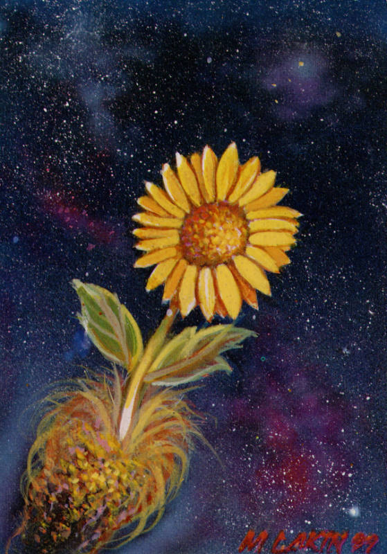 A Sunflower's Journey