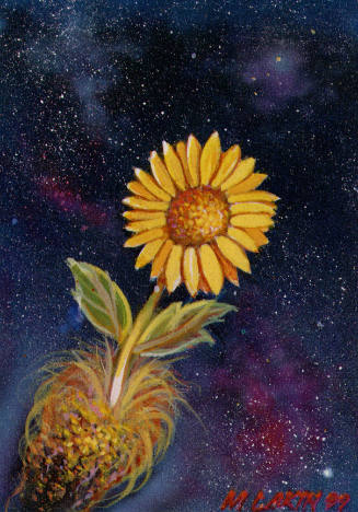 Mark Lakin, A Sunflower's Journey, 1999, photomechanical reproduction, 5 13/16 x 4 in., Kansas …