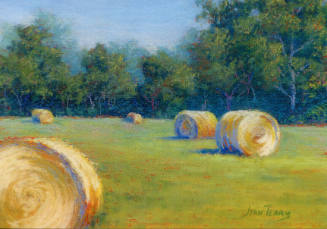 Jean Terry, Hay Rolls, 1999, photomechanical reproduction, 4 x 5 13/16 in., Kansas State Univer…