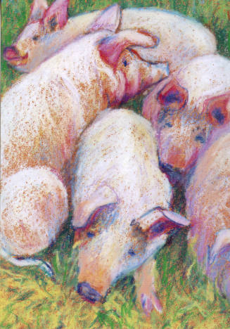 Ellen Sweeney, Pigs, 2000, photomechanical reproduction, 5 13/16 x 4 in., Kansas State Universi…