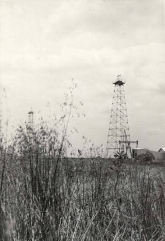 Oil Derricks in Field, Reno County, Kansas