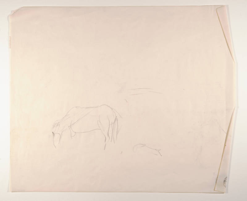 Title unknown (horse and pig sketch)