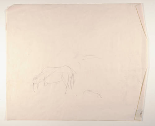 Title unknown (horse and pig sketch)