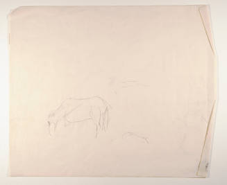 Title unknown (horse and pig sketch)