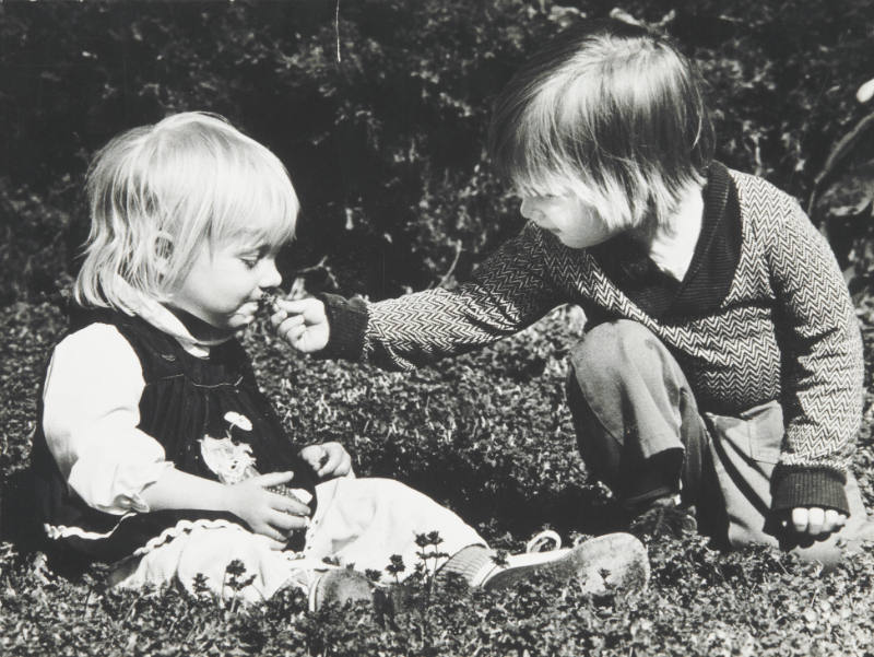 Hoeflin Stone House (Toddler Classroom) series