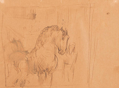 Horse Sketch