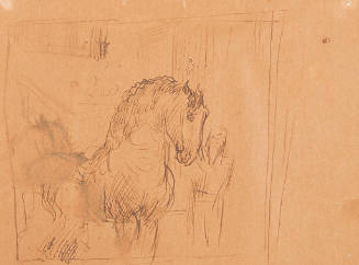 Horse Sketch