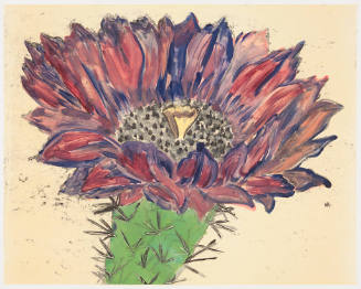 Untitled (prickly pear flower II)