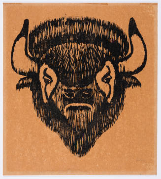 TItle unknown (bison)