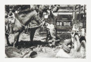 Jeremiah Ariaz, Gavin (front) and Jock (rear) Saddle Horses, Ride or Die Club (Opelousas, LA), …