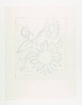 Herschel C. Logan, Study for Kansas Sunflower, ca. 1940, graphite, 9 1/16 x 6 15/16 in., Kansas…