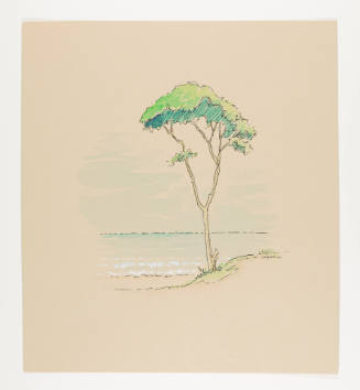 Herschel C. Logan, title unknown (Pacific madrone), ca. 1975, opaque watercolor with graphite, …