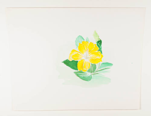 Herschel C. Logan, title unknown (yellow California poppy), ca. 1975, watercolor with graphite,…