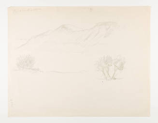 Herschel C. Logan, Pyramid Lake- Sage, 1973, graphite, 8 1/2 x 11 in., Kansas State University,…