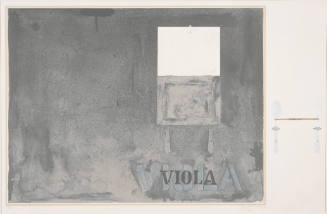 Viola