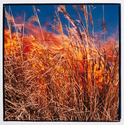 Grass Fire, Lyon County, Kansas, 1994