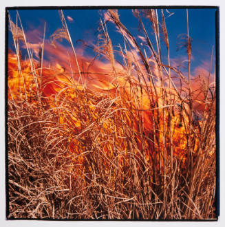 Grass Fire, Lyon County, Kansas, 1994