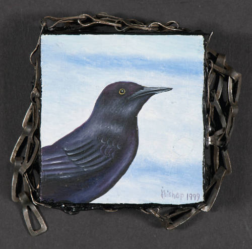 Terra #206: Great-Tailed Grackle