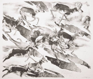 Pronghorns