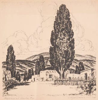 Poplars at Santa Fe