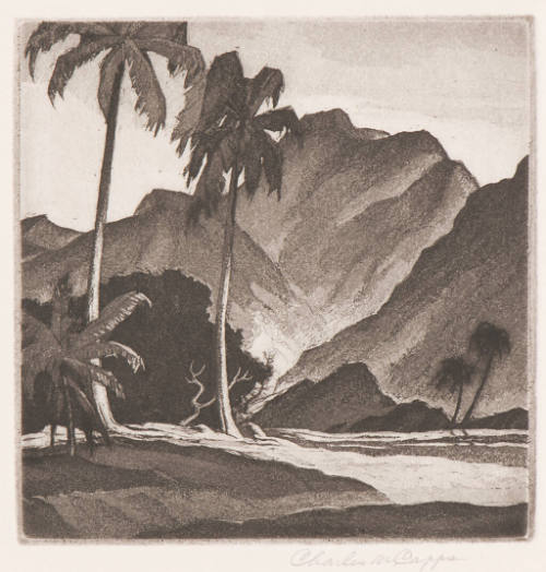 Hawaiian Valley