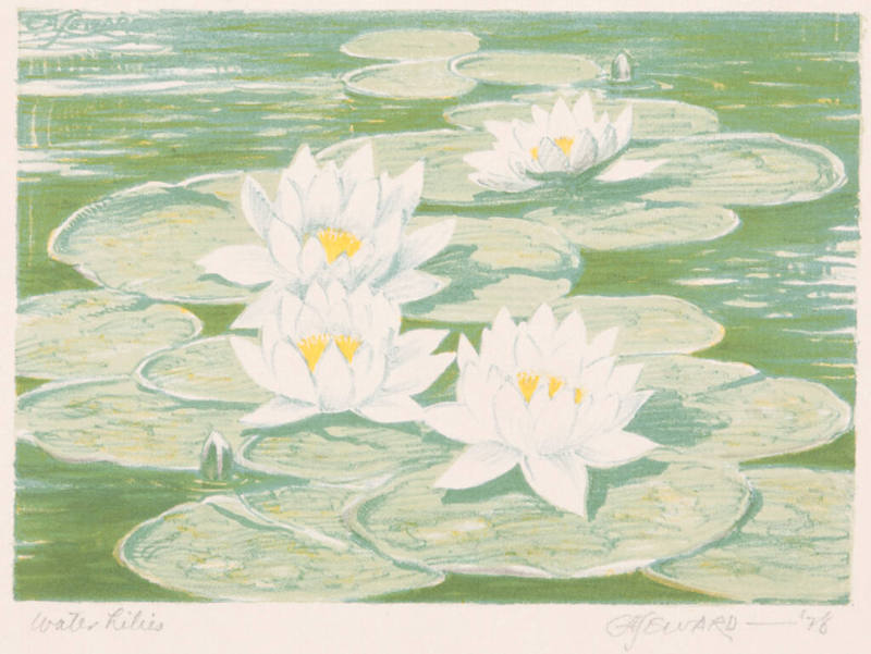 Water Lilies