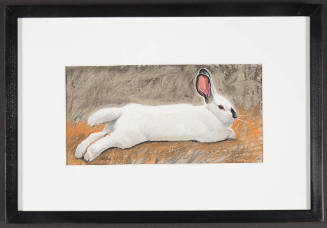 Small White Rabbit