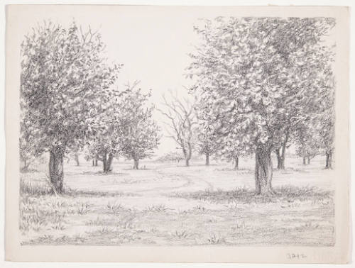 Mulberry Trees at Silkville