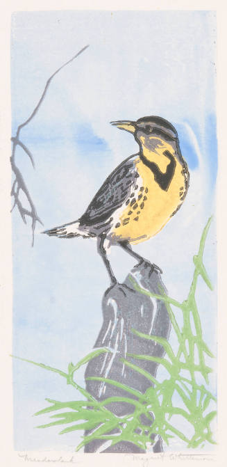 Meadowlark