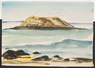 Sea Gulls on Pacific Coast, California