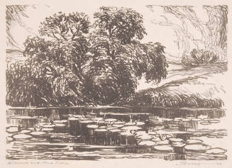 Willows and Pond Lilies