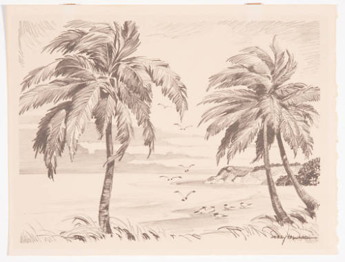 Title unknown (palm trees and sea gulls)