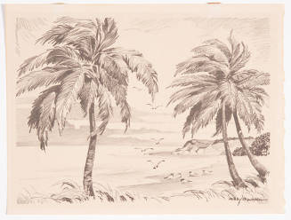 Title unknown (palm trees and sea gulls)