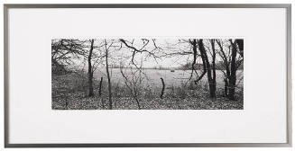 Post and Bale Seen from Woodlot, Dickinson County, Kansas