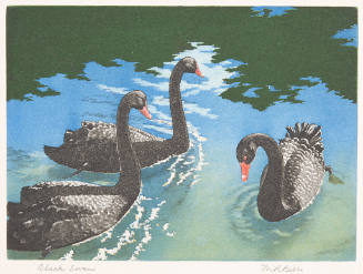 Maurice Bebb, Black Swans, 1952, etching, 7 3/8 x 10 3/16 in., Kansas State University, Mariann…