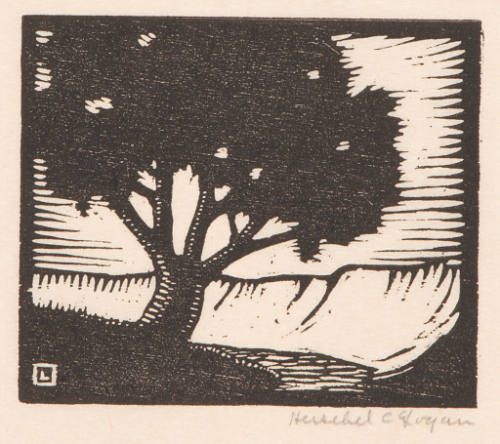 Title unknown (tree with arroyo)